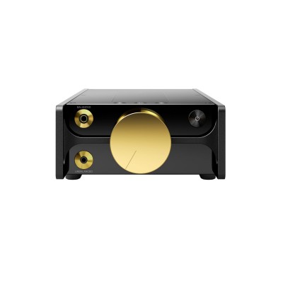 Sony DMP-Z1 Black/Gold