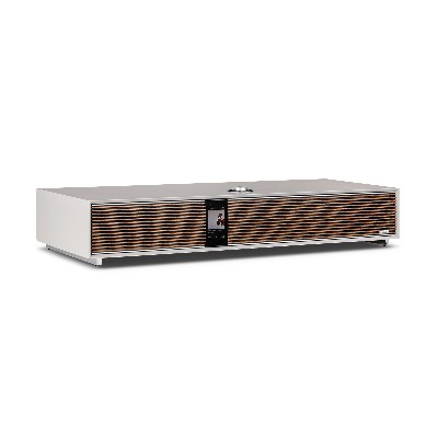 Ruark Audio R810