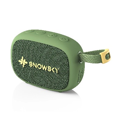 FiiO Snowsky Anywhere