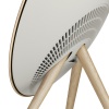 Bang & Olufsen Beosound A9 5th Generation Gold Tone