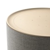 Bang & Olufsen Beosound Balance Natural Oak