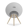 Bang & Olufsen Beosound A9 5th Generation Natural Aluminium